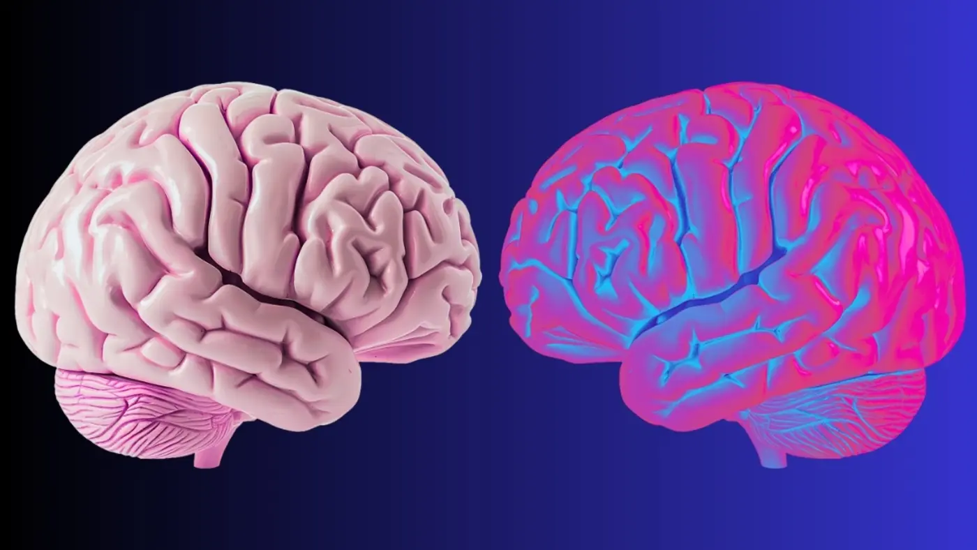 scientists identify brain waves that define the limits of x27youx27