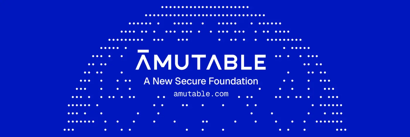 lennart poettering christian brauner founded a new company