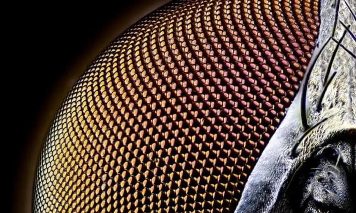 icex27s secret watchlists of americans