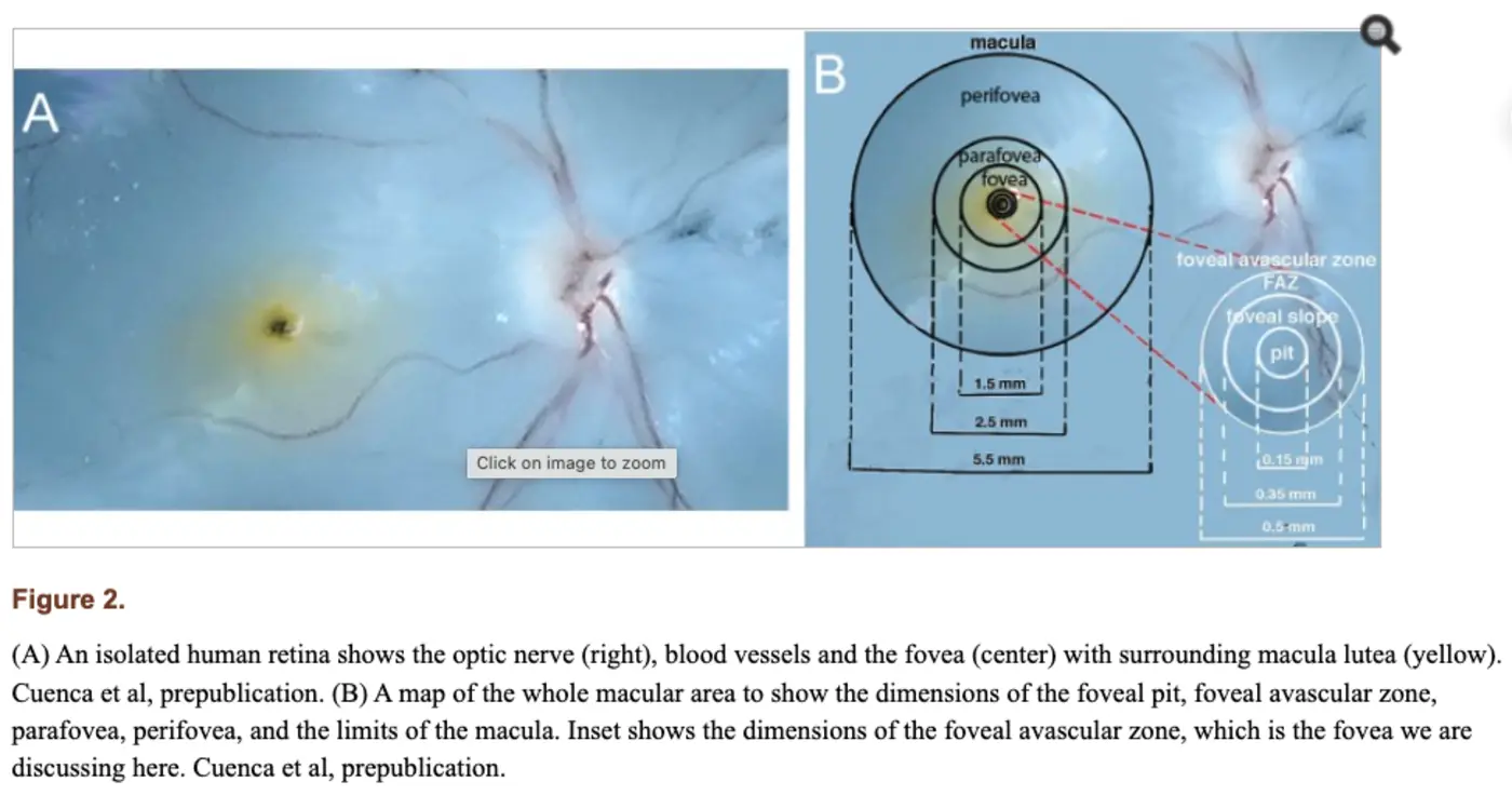 sources reality is not real