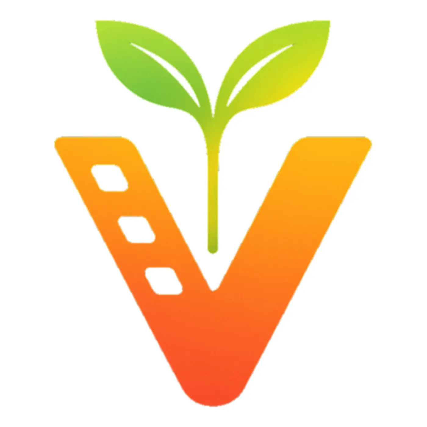 preupload video seo optimization