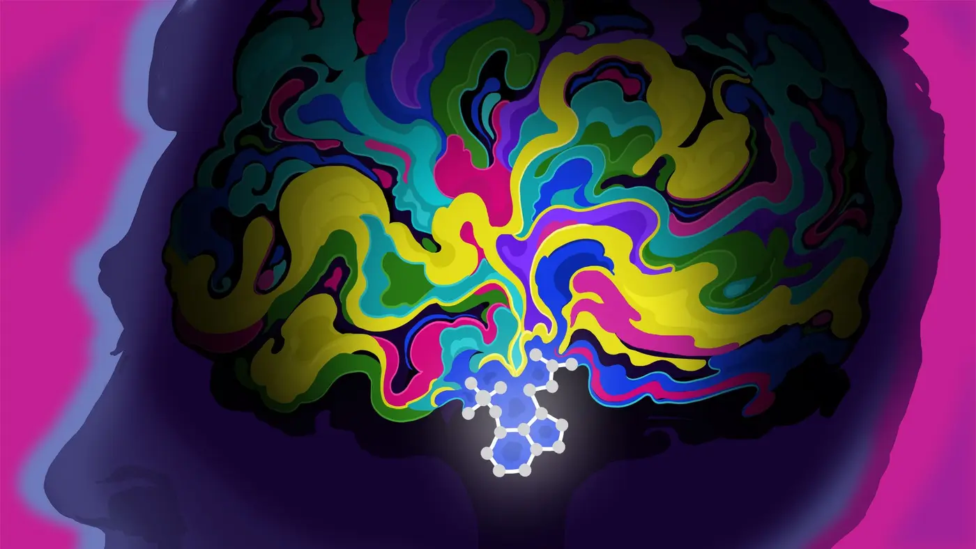 psychedelics may rewire the brain to treat ptsd