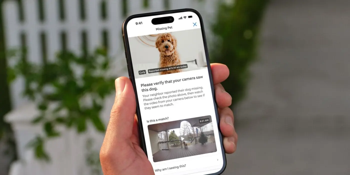 ringx27s search party helps reunite more than one lost dog a day