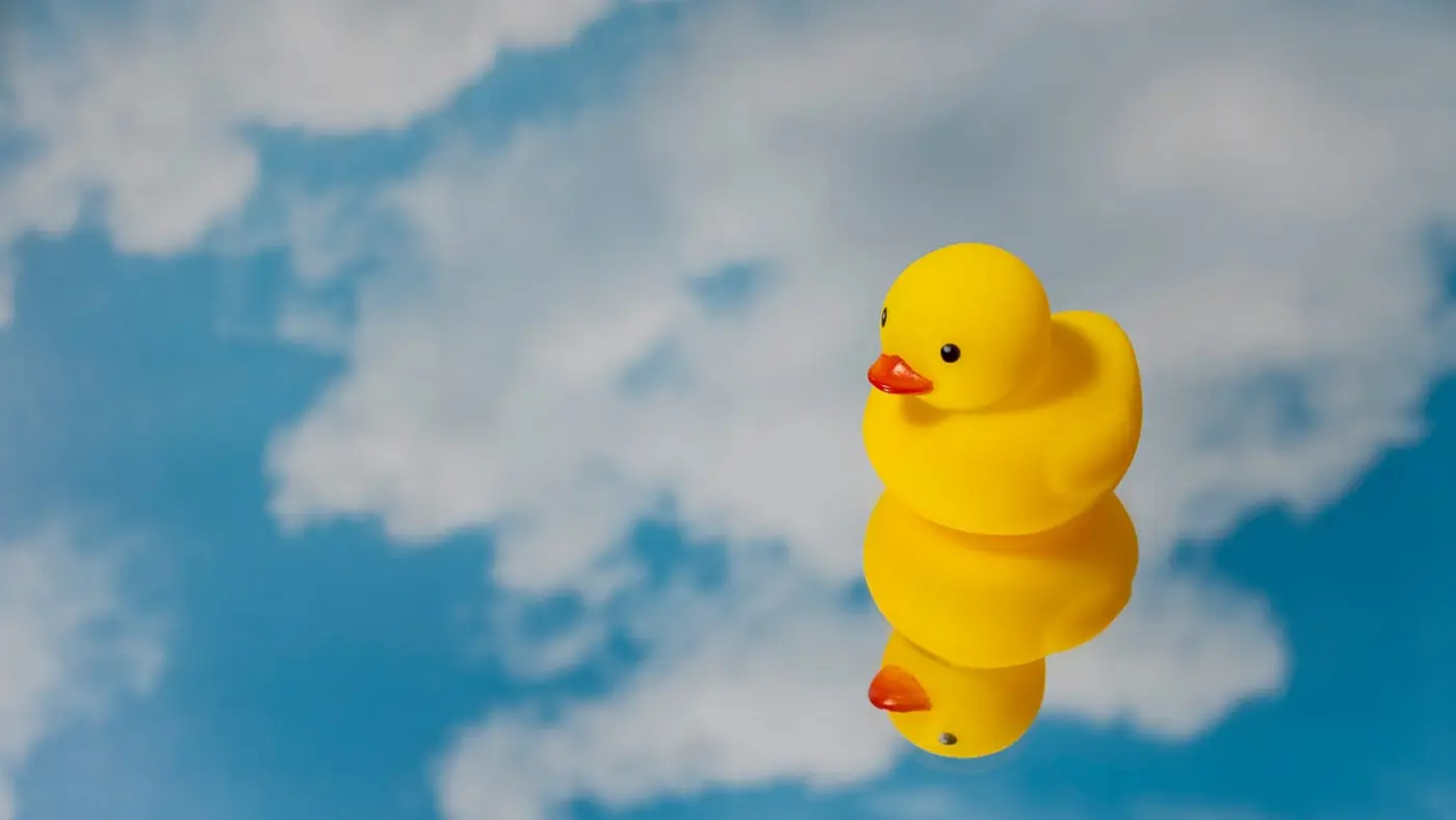 how talking to a rubber duck made me a better developer