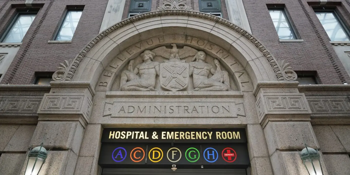 palantir gets millions of dollars from new york cityx27s public hospitals