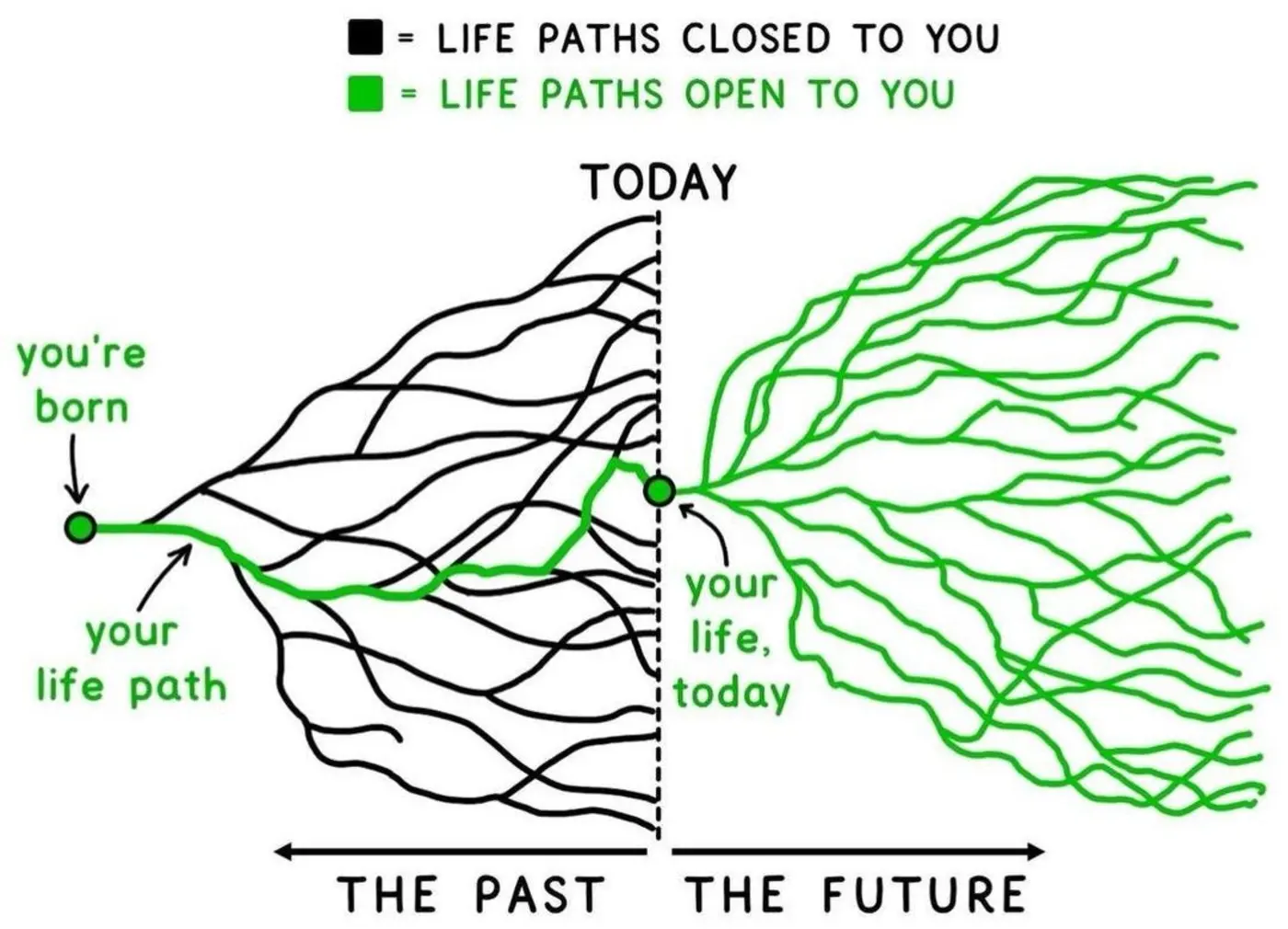 my journey to the microwave alternate timeline