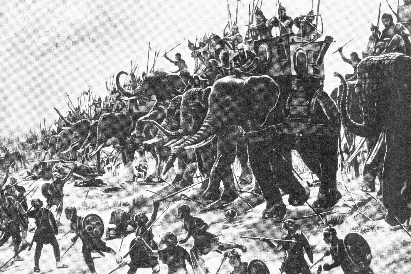 archaeologists find possible first direct evidence of hannibalx27s war elephants