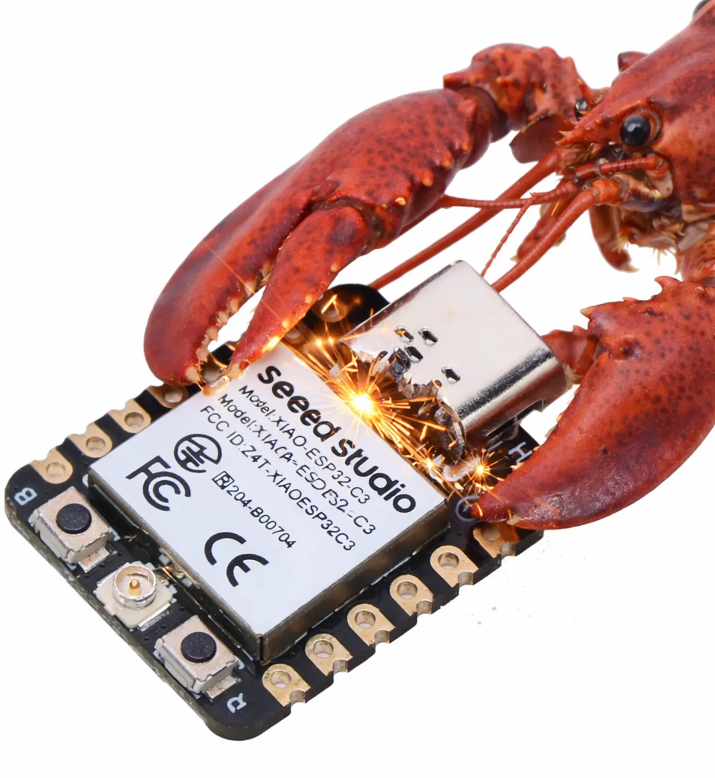 zclaw the 888 kib assistant