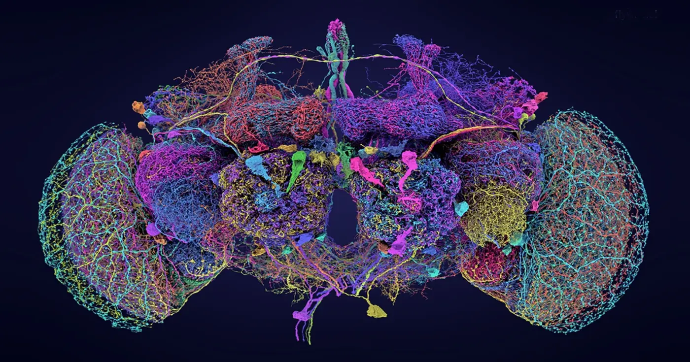 darpa to develop biological chips for lowpower ai training at the edge