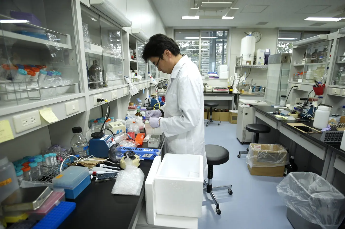 lessons for japanx27s scientific community from trumpx27s america