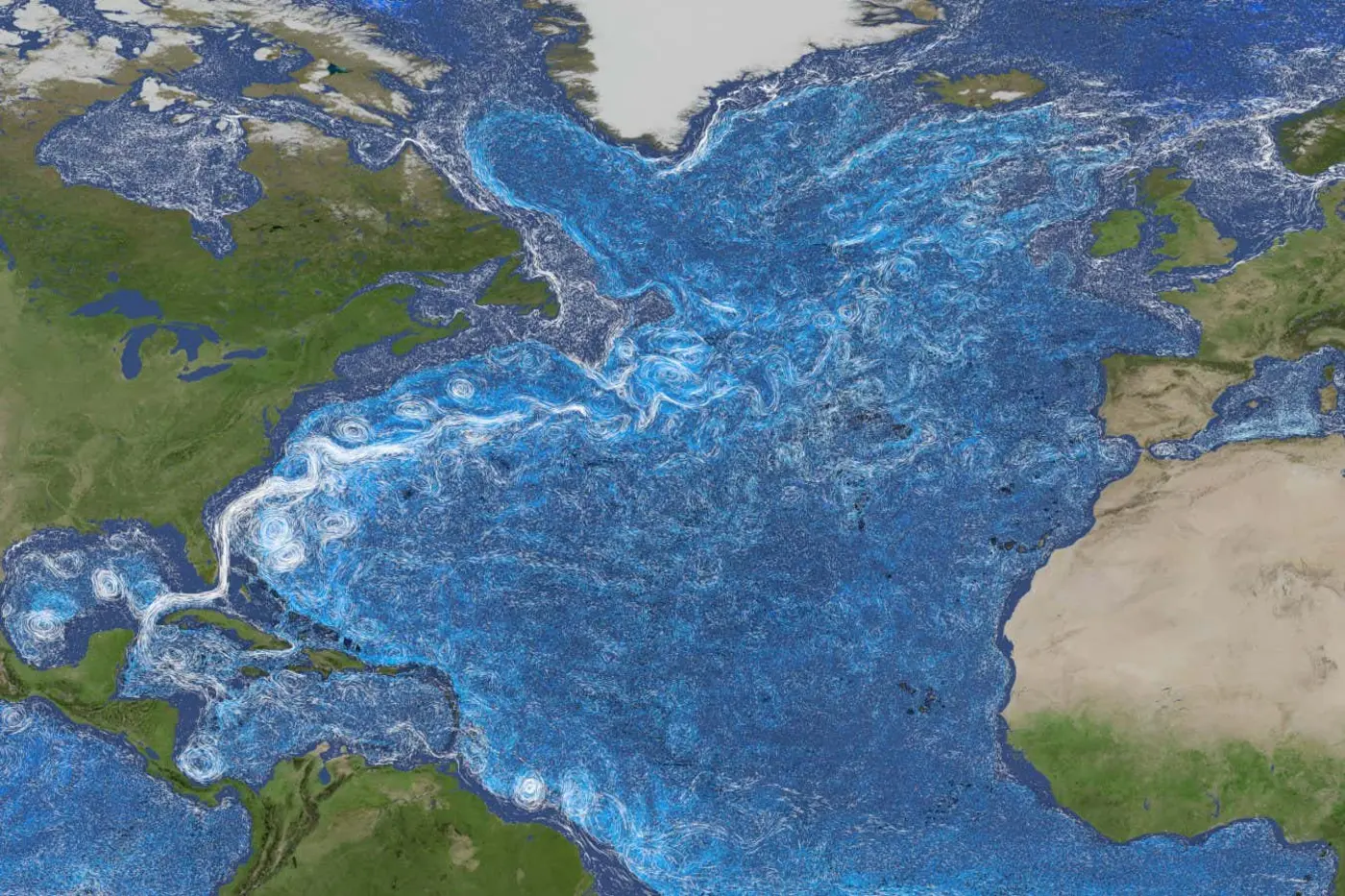 shift in the gulf stream could signal ocean current collapse