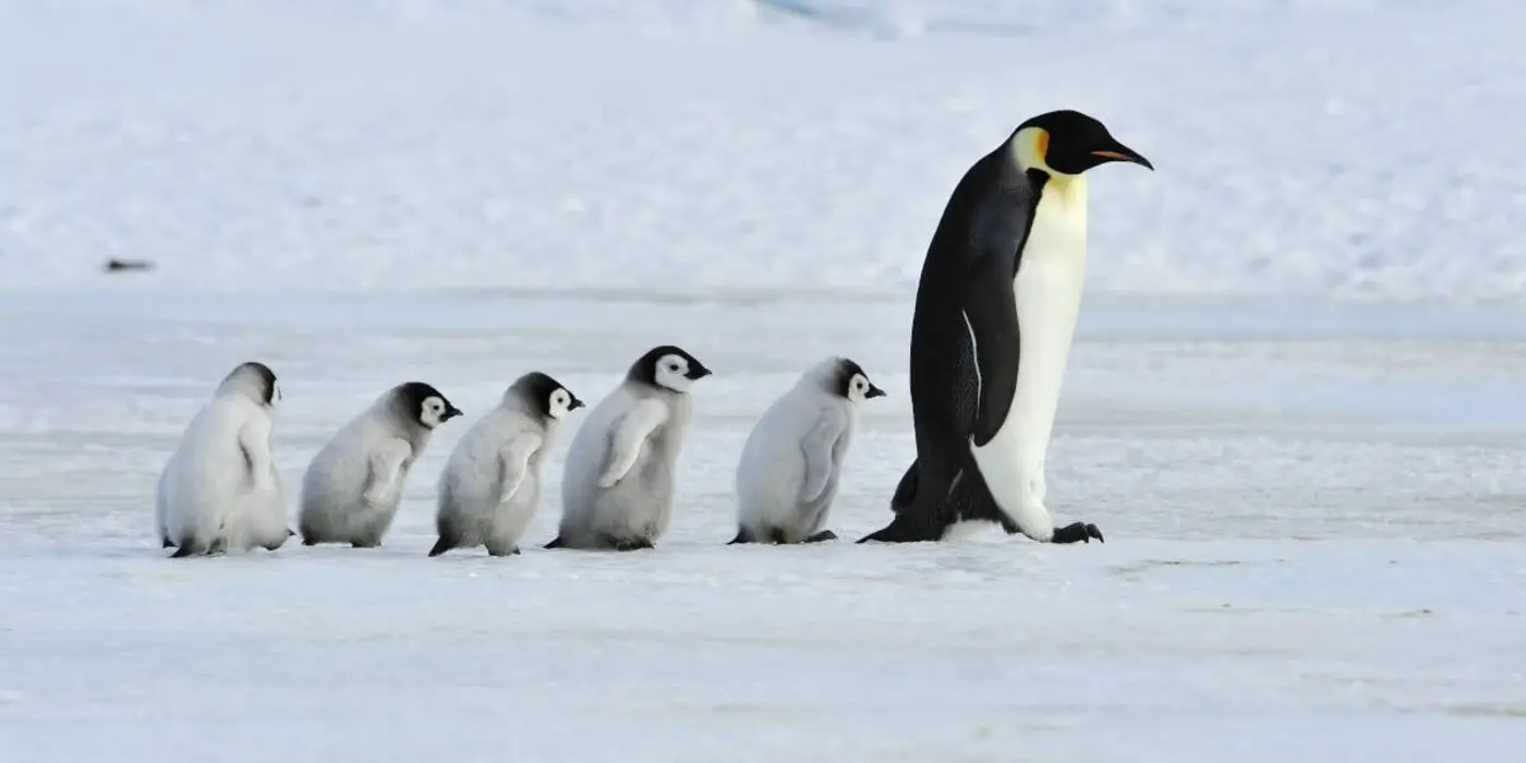 nanny state discovers linux demands it check kidsx27 ids before booting