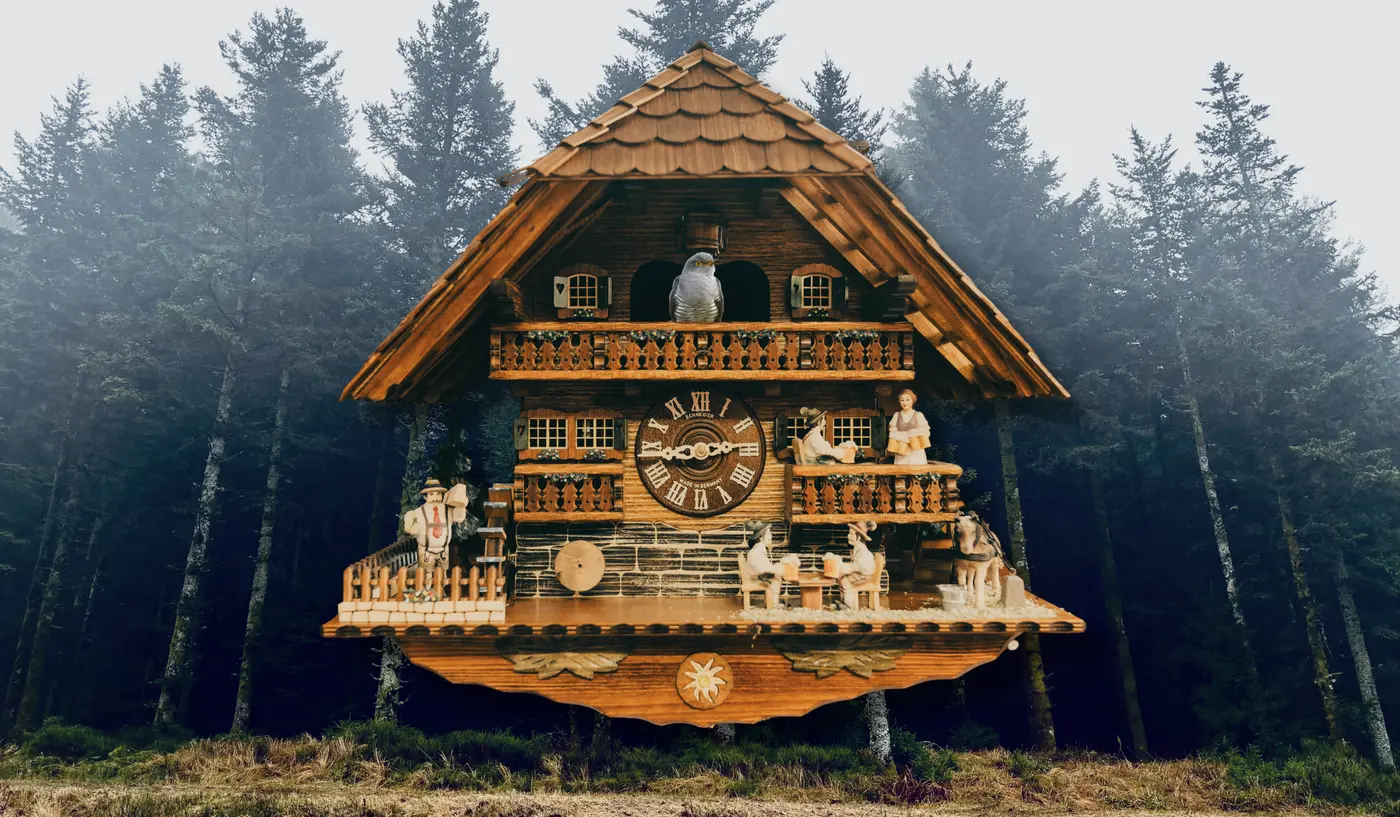 into the darkness germanyx27s black forest faces a future of transformation