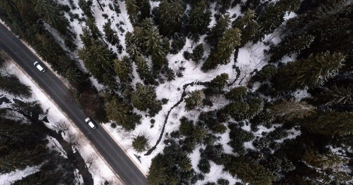 obsession with growth is destroying nature 150 countries warn