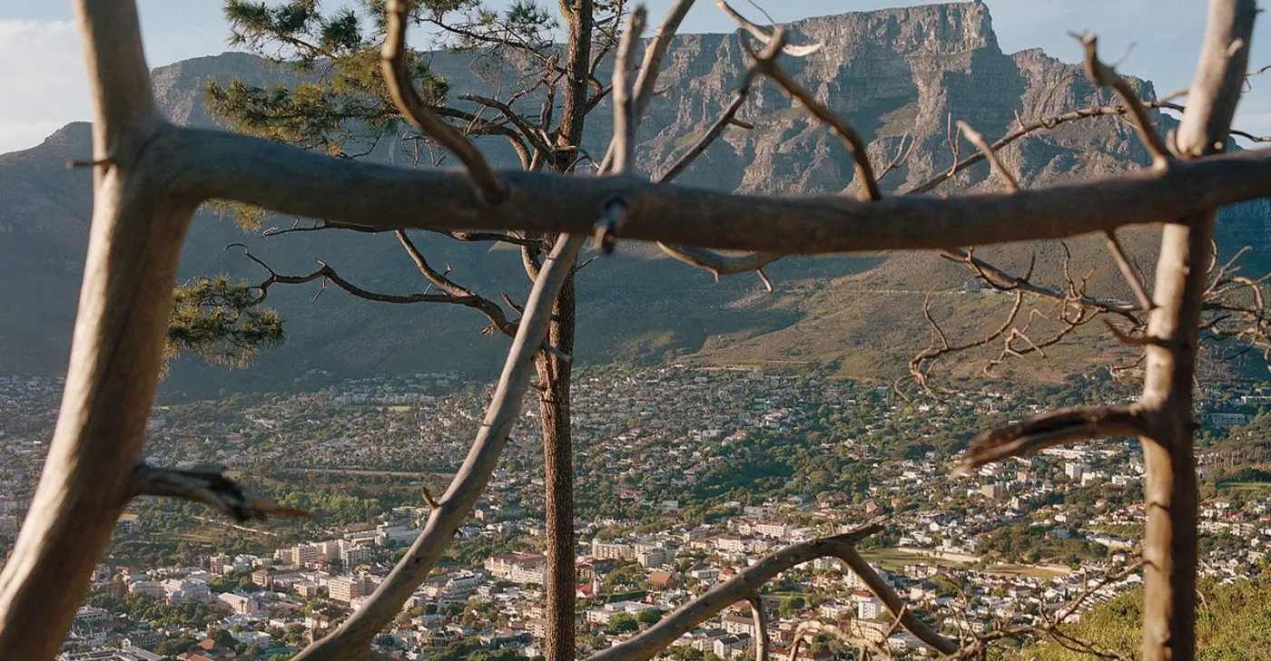 cape town after coetzee