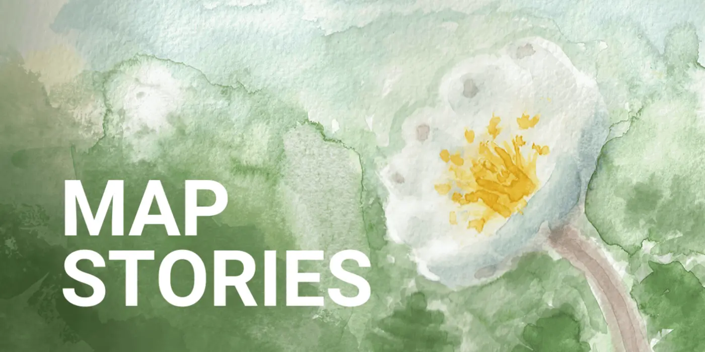 a flower became the main character of the late pleistocene