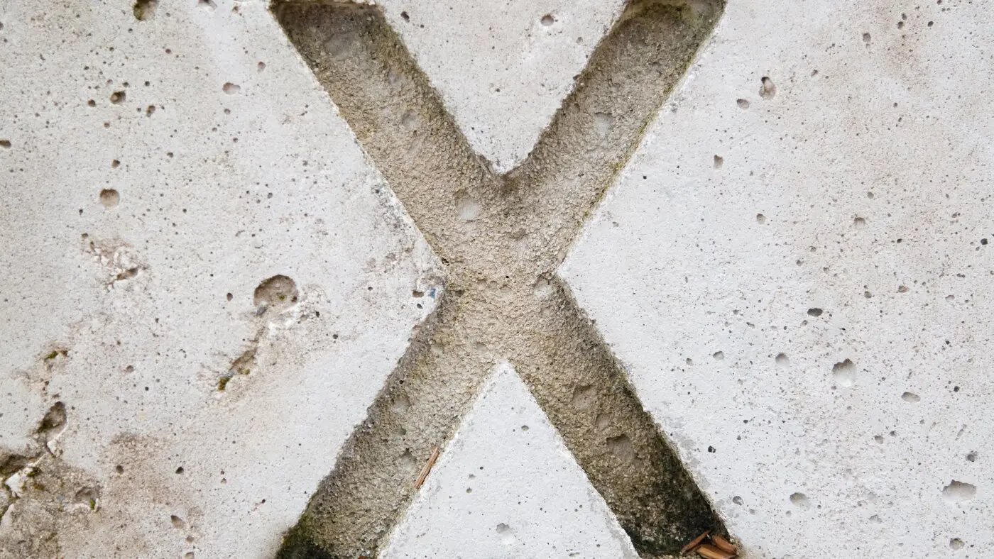 from descartes to punk rock the letter x has an extraordinary history