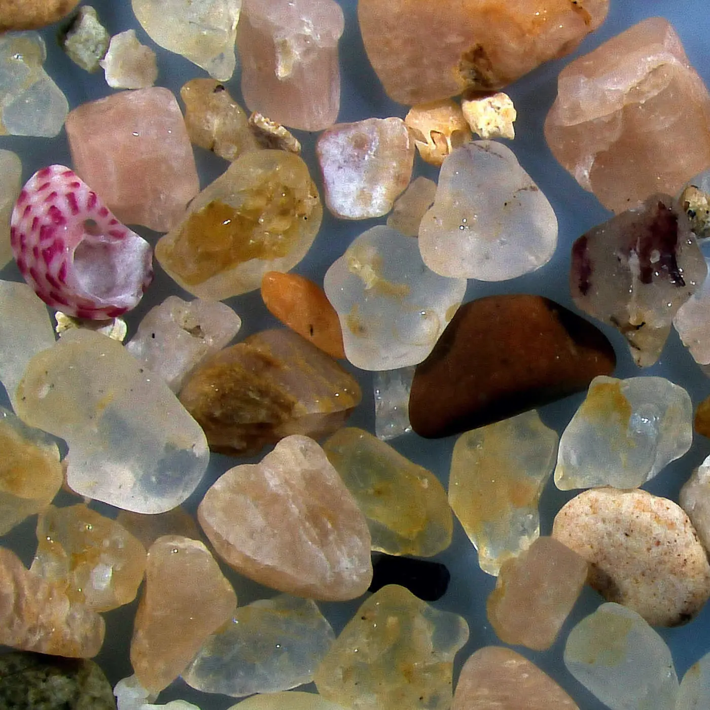 sand from different beaches in the world