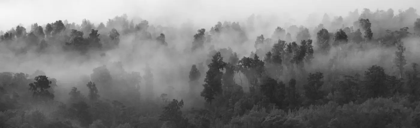 the bridge to wealth is being pulled up with ai