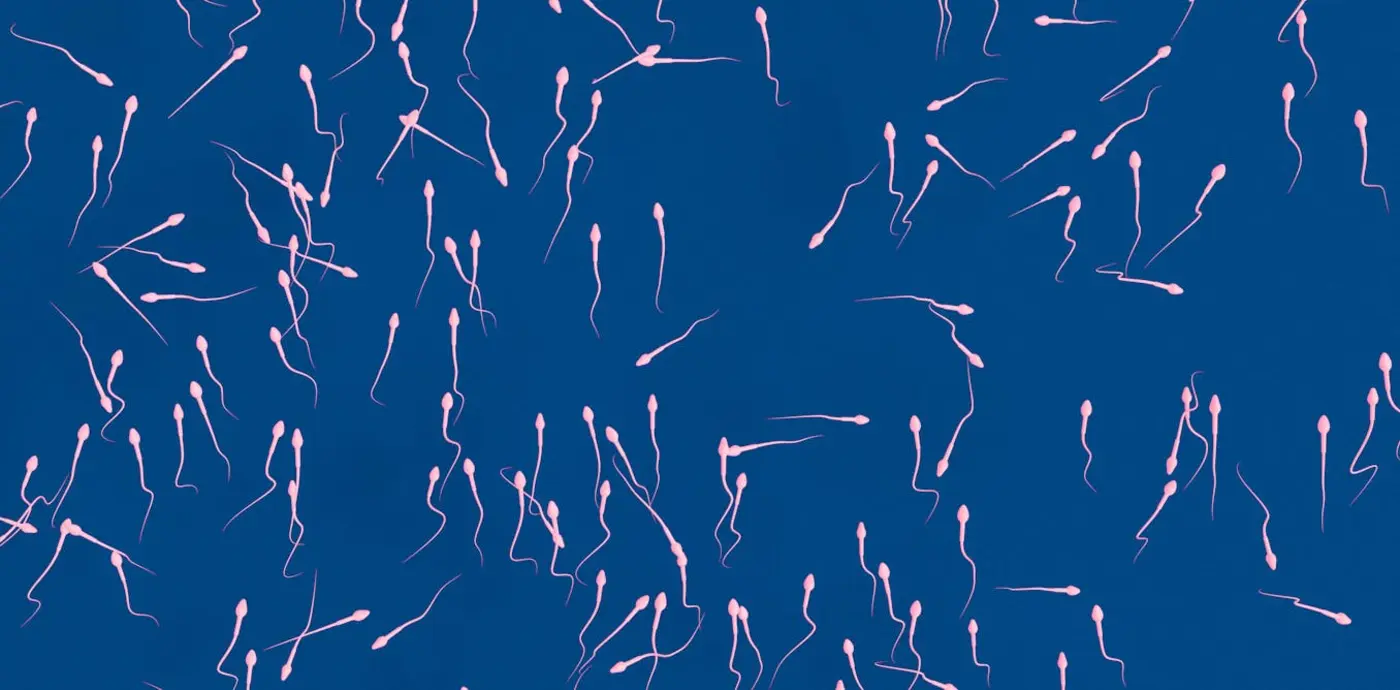 ejaculating more frequently may improve sperm quality