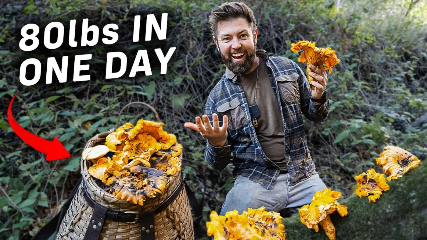 mushroom hunting catch and cook in southern california video