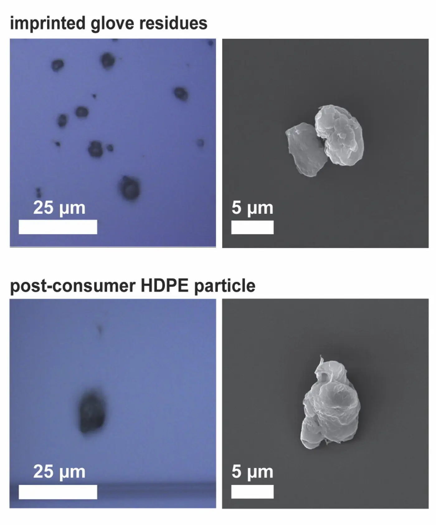 overestimation of microplastics potentially caused by scientistsx27 gloves