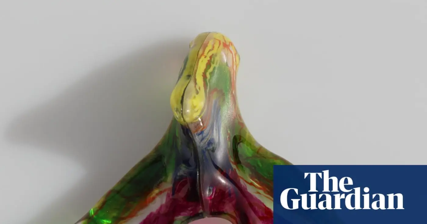 full network of clitoral nerves mapped out for first time