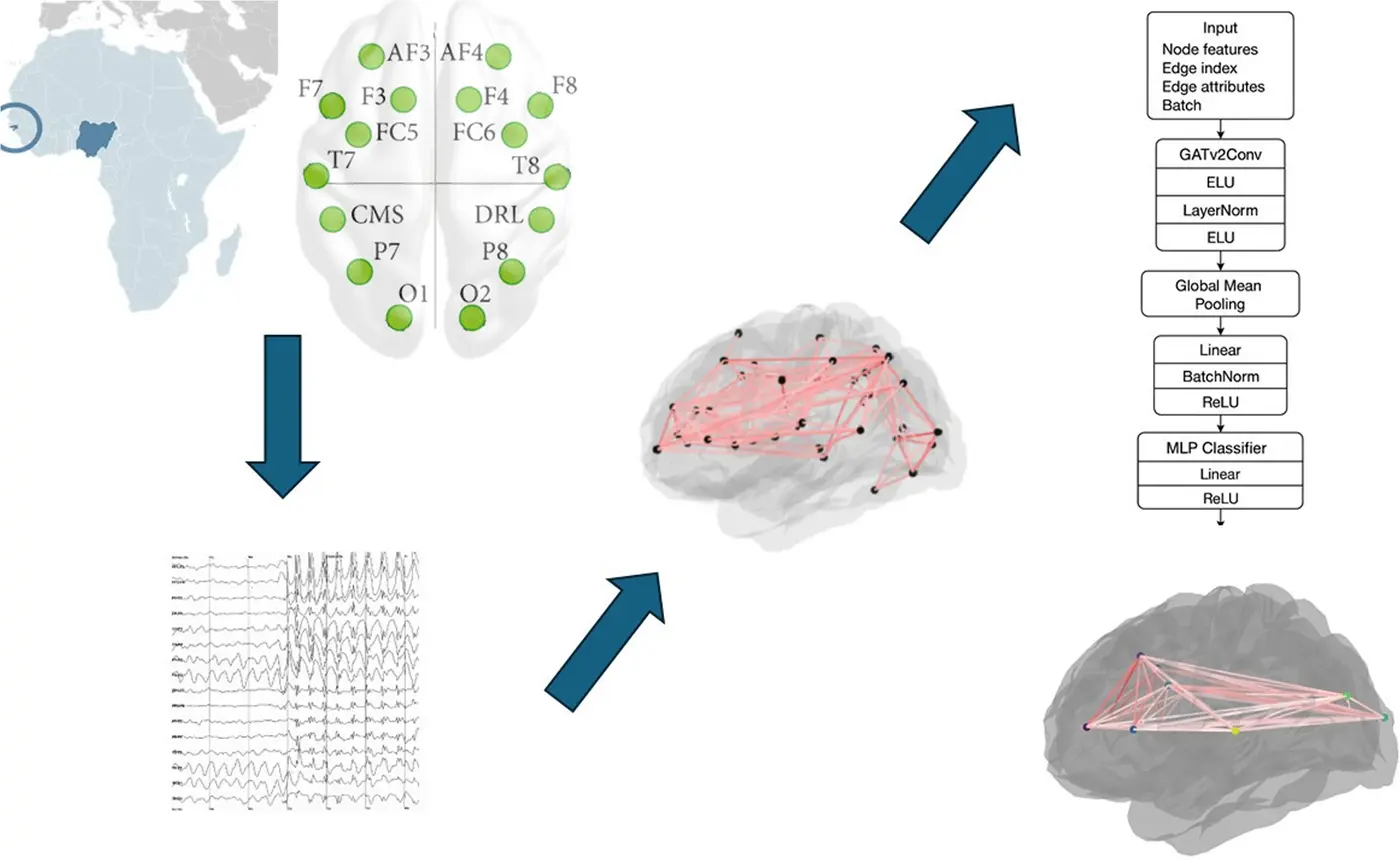 graph attention networks for detecting epilepsy from eeg in lowresource settings
