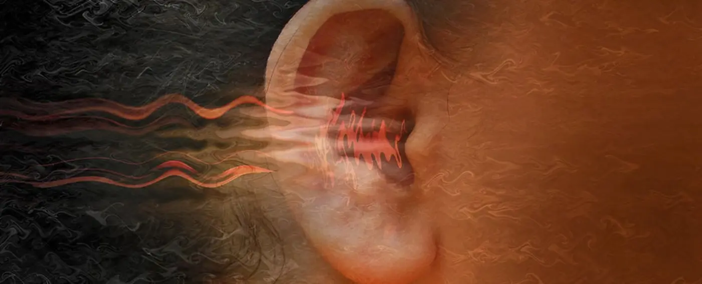 we used to think everybody heard a voice inside their heads but we were wrong