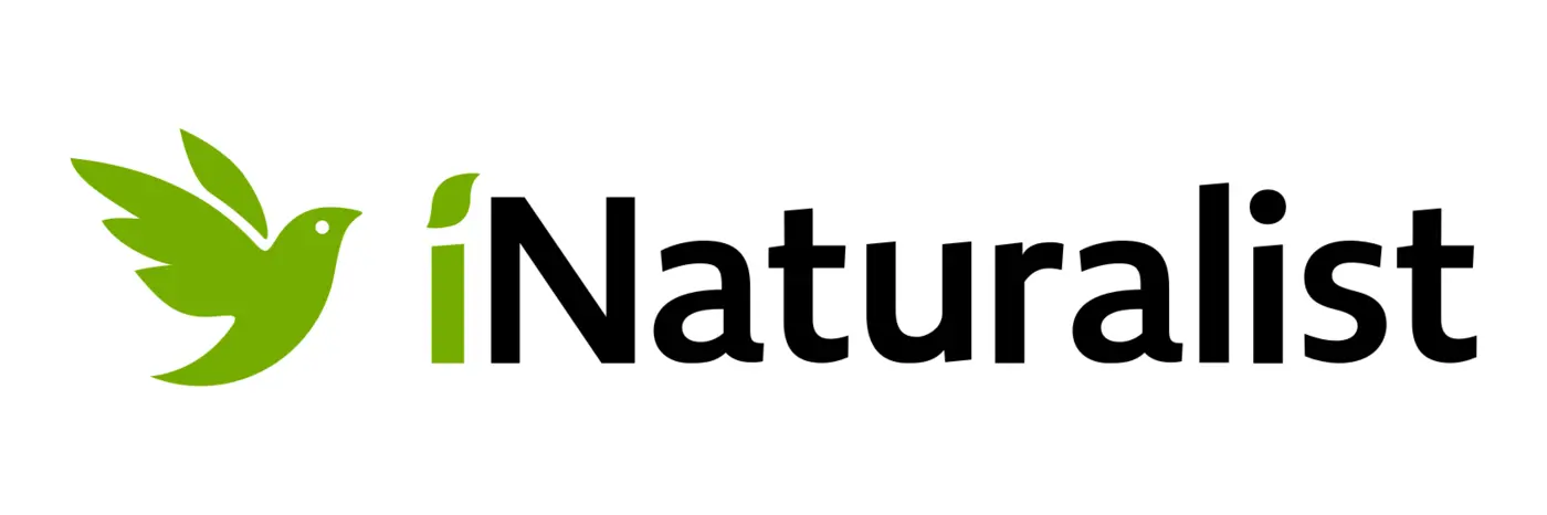inaturalist