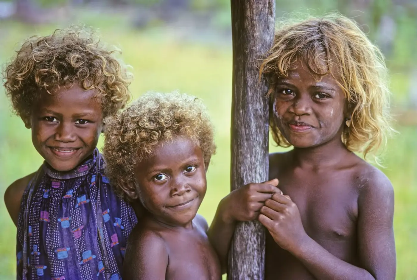 the melanesian darkskinned people with blonde hair region of oceania
