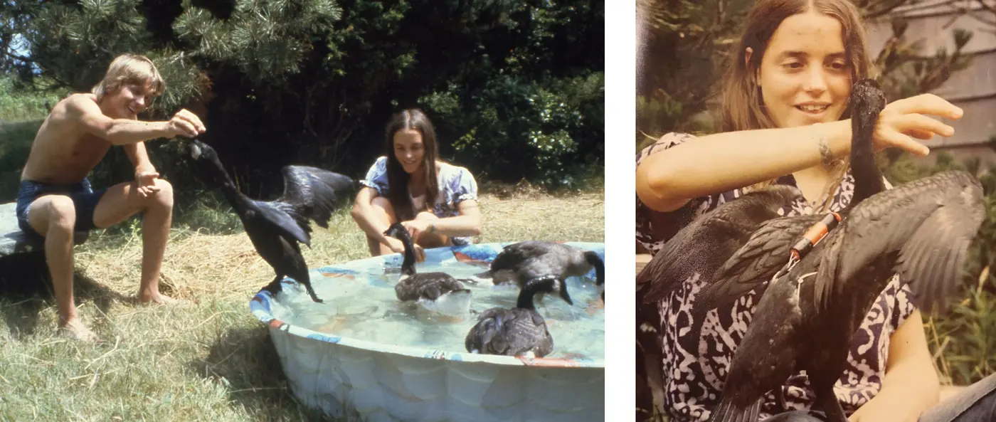 from birds to brains my twisted path to the fusiform face area 2024