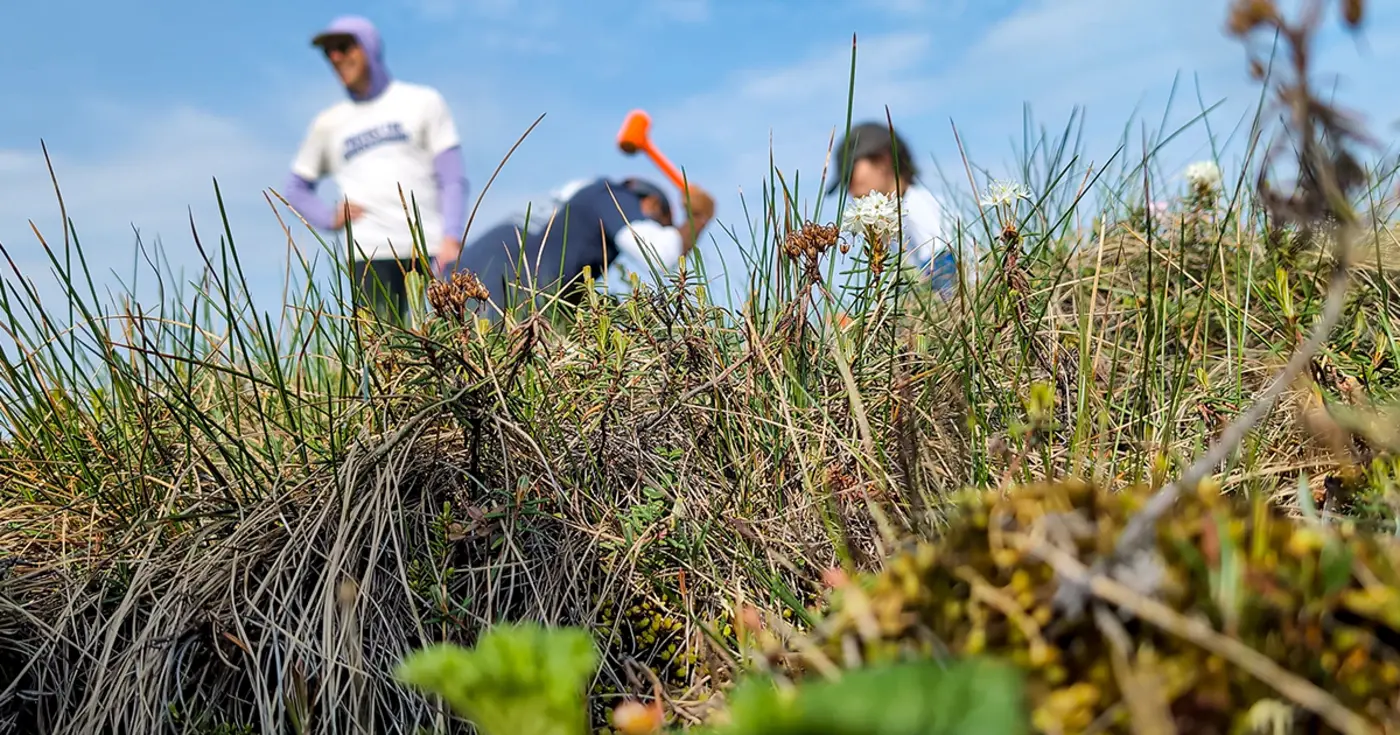 an arctic road trip brings vital underground networks into view