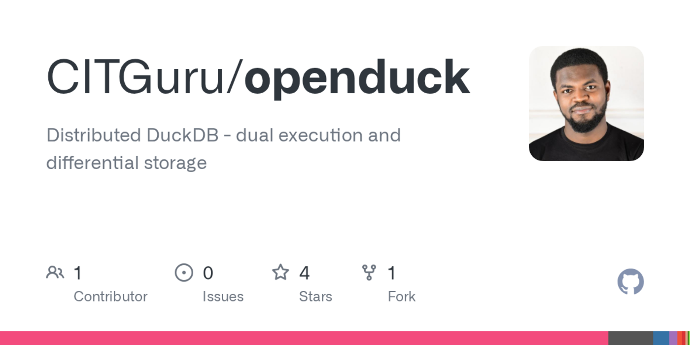 distributed duckdb instance
