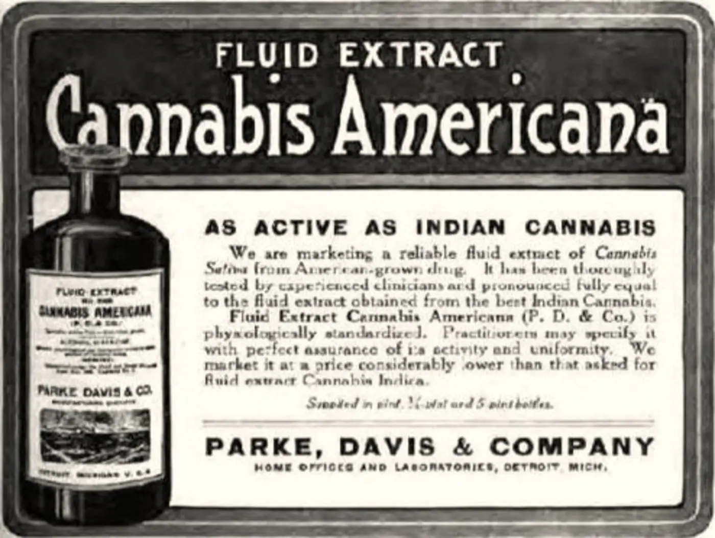 frank dudley beanex27s experience with ergot and cannabis indica 1884