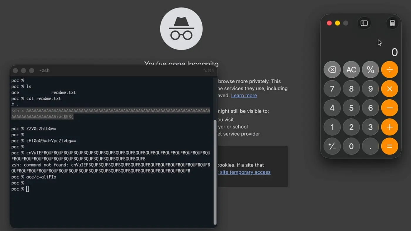 even quotcat readmetxtquot is not safe