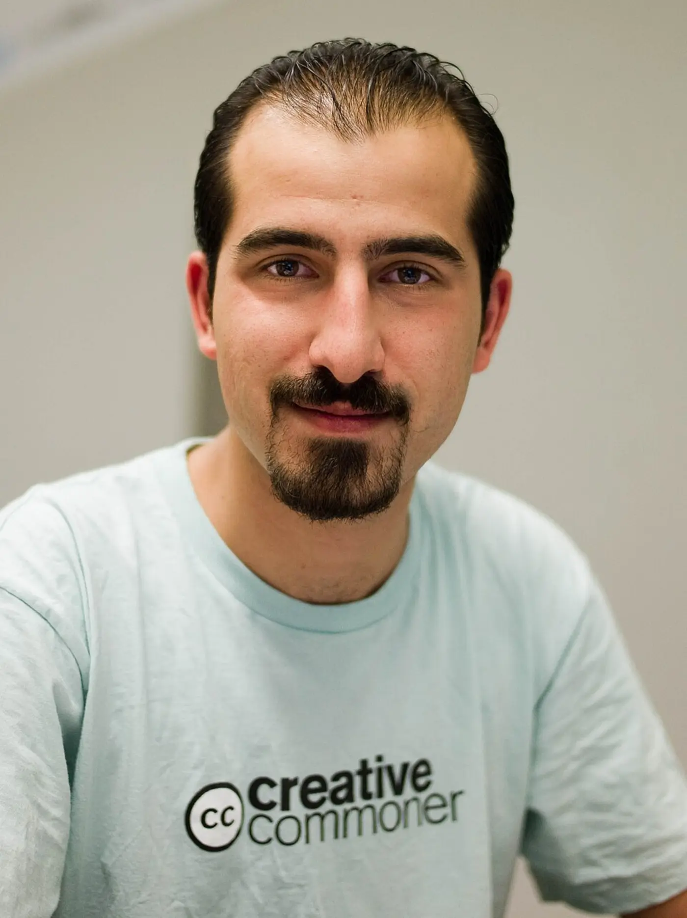 list of people imprisoned for editing wikipedia