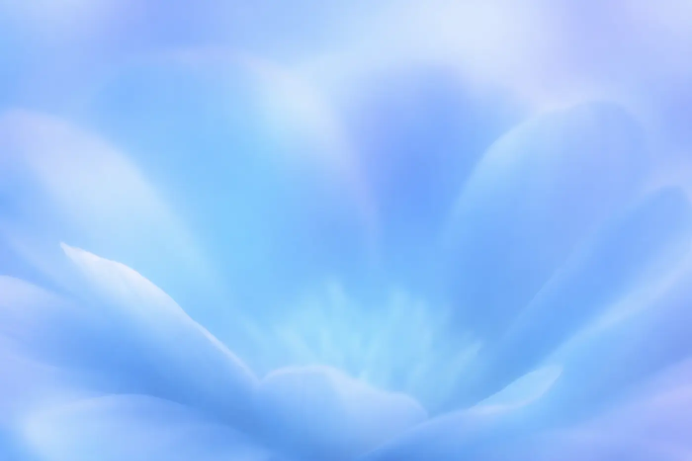 tim davis probabilistic engineering and the 247 employee