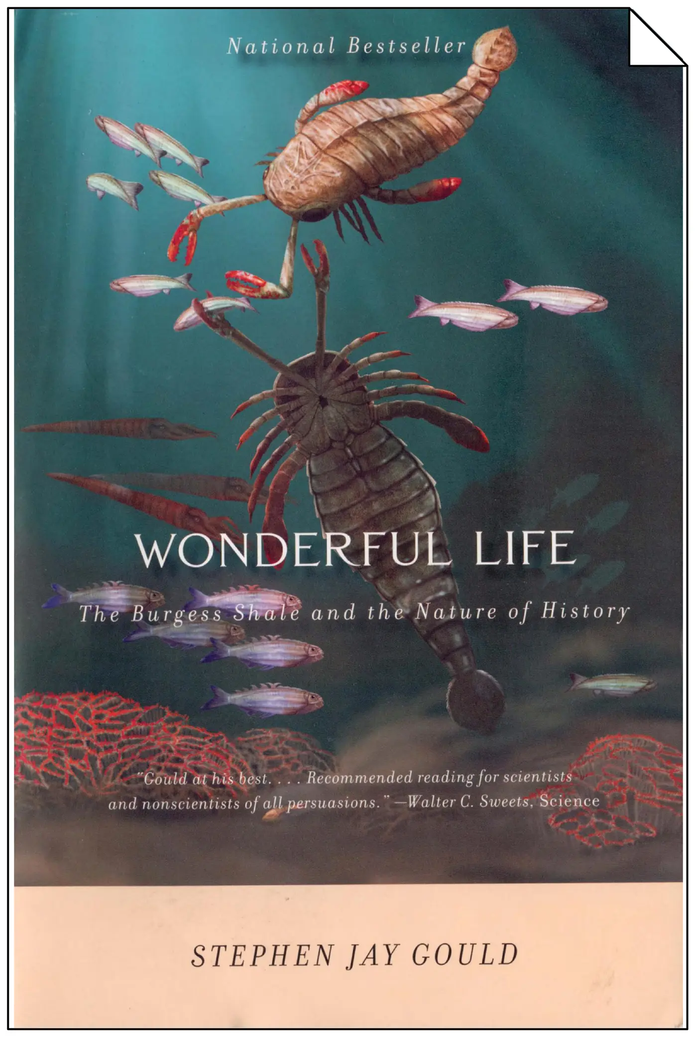 wonderful life the burgess shale and the nature of historypdf