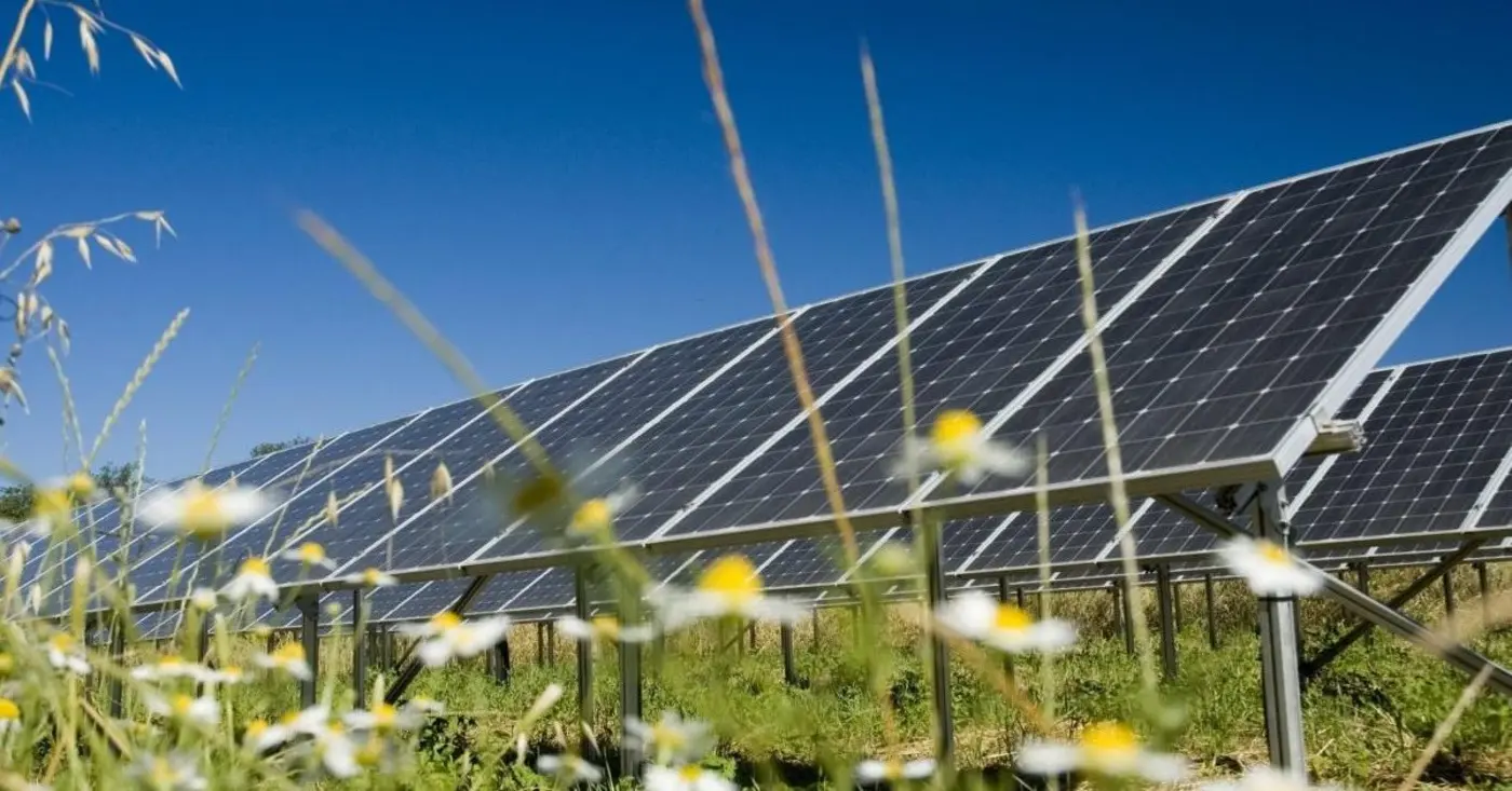 iea solar overtakes all energy sources in a major global first