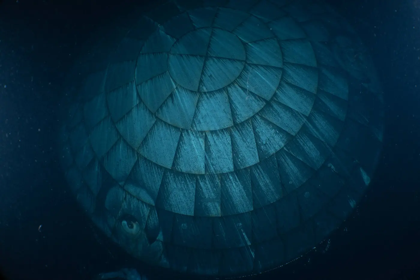 nasa reckons artemis ii heat shield performed like a champ