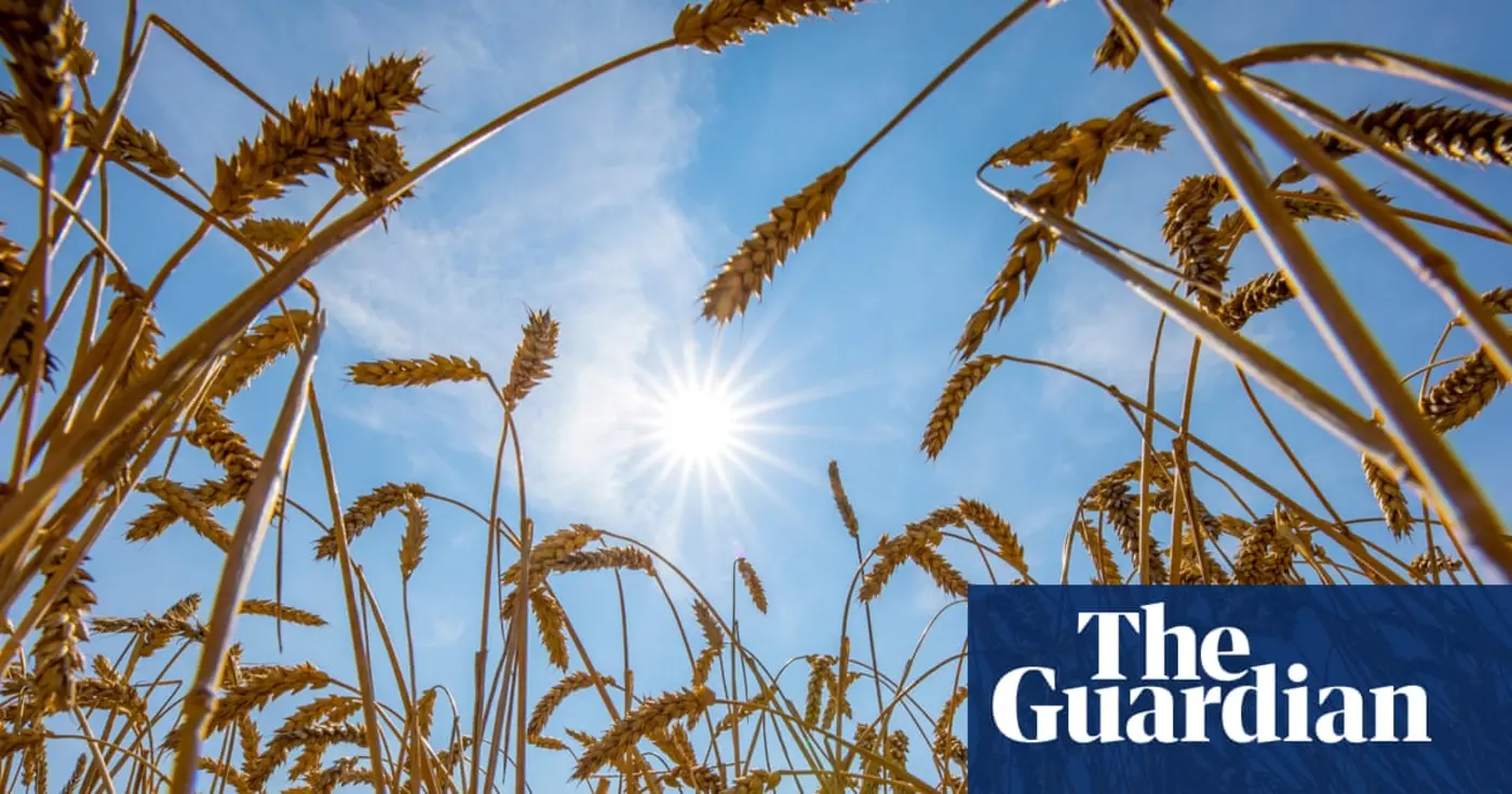 world food systems x27pushed to the brinkx27 by extreme heat un warns