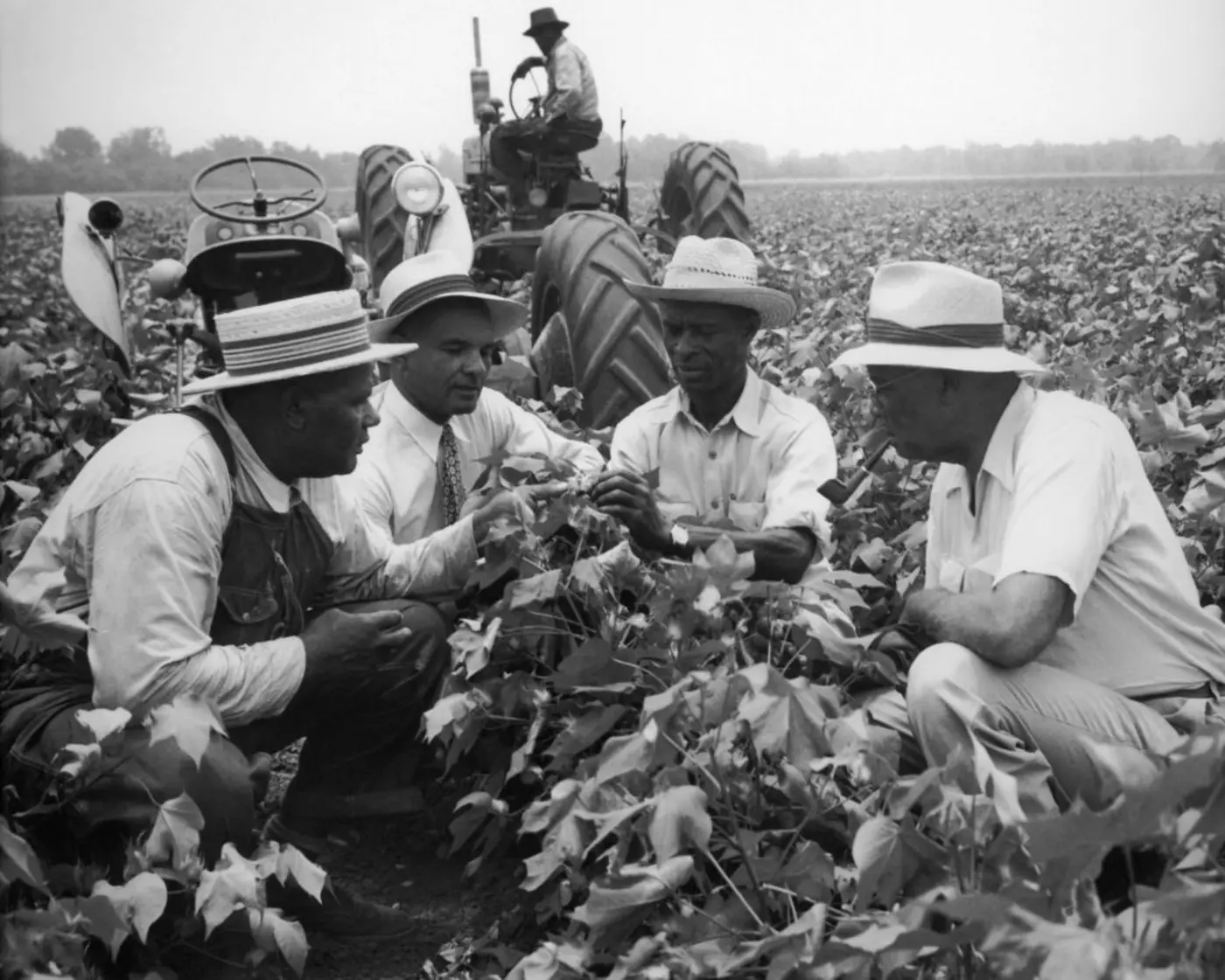 texas populists almost destroyed the twoparty system