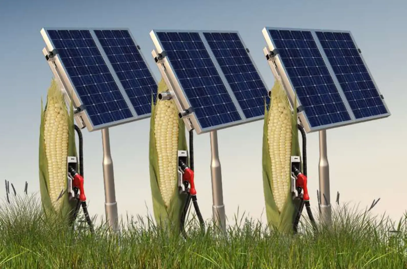 new study compares growing corn for energy to solar production itx27s no contest