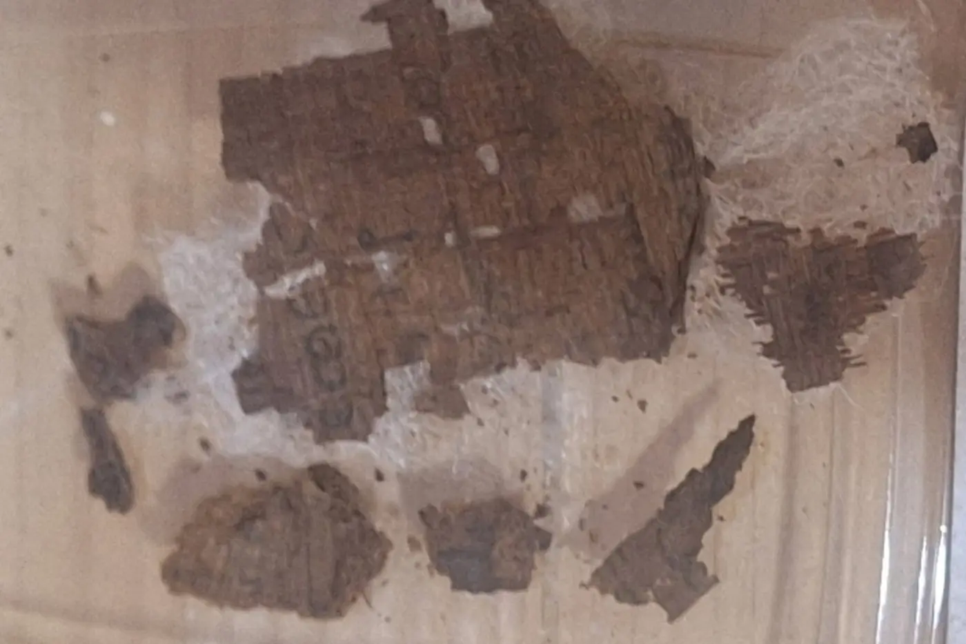 archaeologists find copy of homerx27s iliad inside ancient egyptian mummy