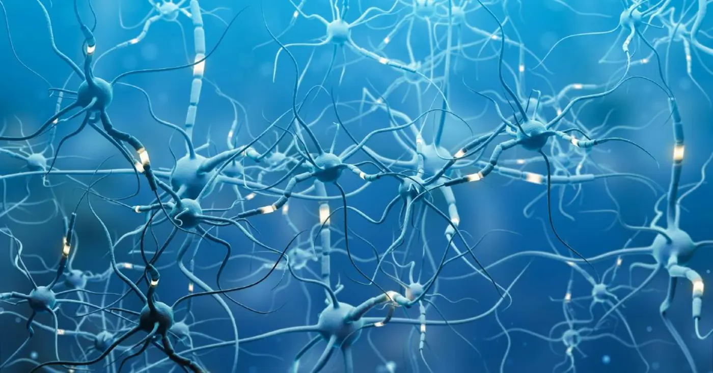 brain regeneration observatory a real long term use of ml and ai that matters