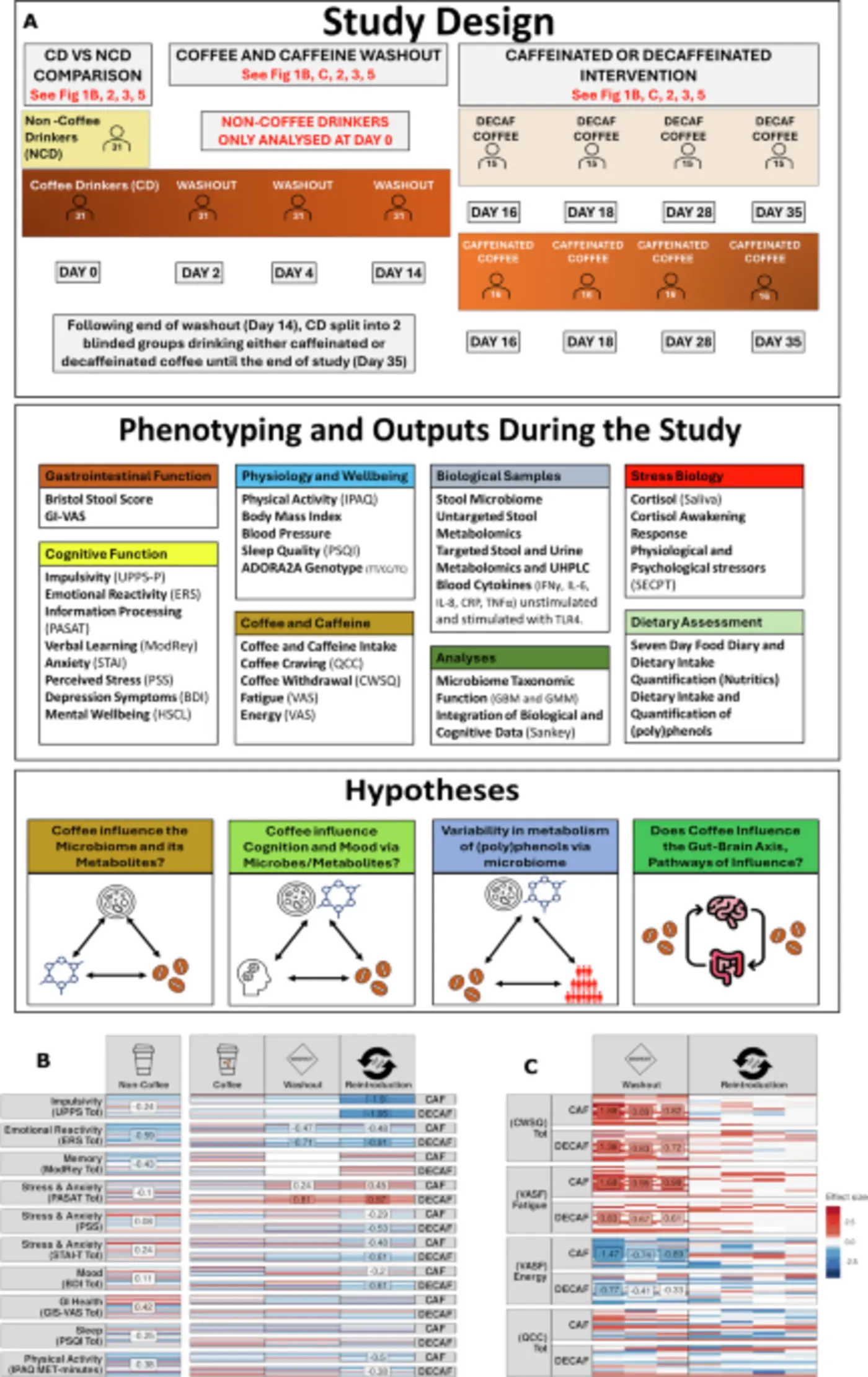 habitual coffee intake shapes the microbiome modifies physiology and cognition