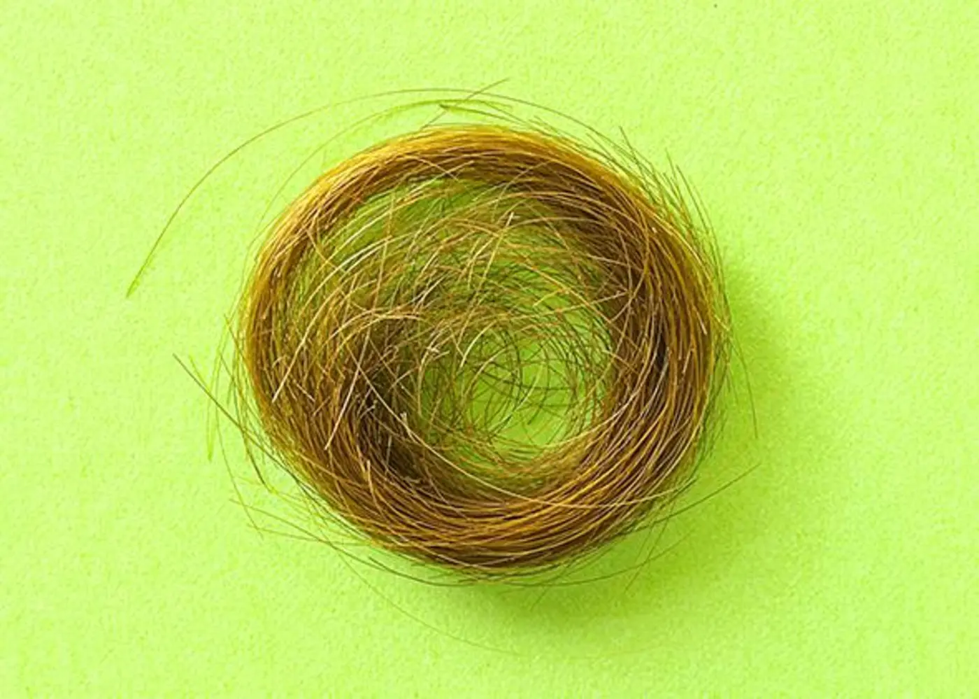 the fbi faked a field of forensic science 2015