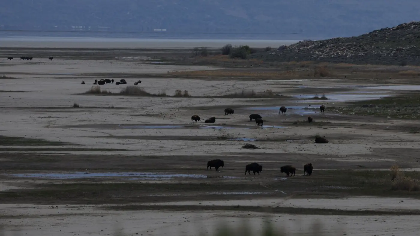 why trump wants to spend 1b on great salt lake