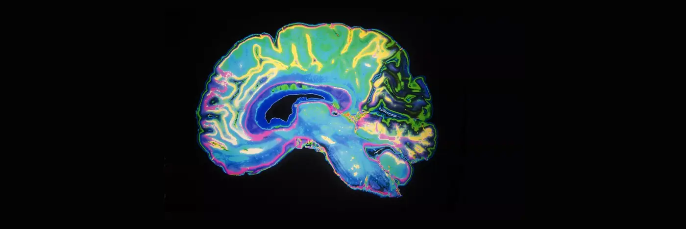 infrasound exposure is linked to aversive responding negative appraisal